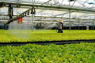 每天有1200多吨农副产品销往上海,这个长三角的“菜篮子”期待更大作为