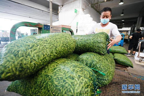 南京江宁重点民生保供企业有序运转