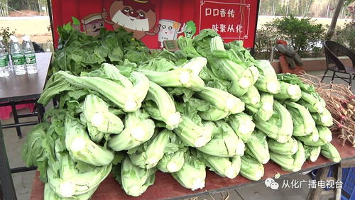 吕田美食节开锣,吃货有口福