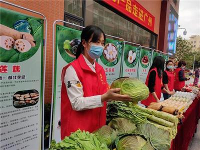 广东节后首次大规模采购湖北农副产品 百吨果蔬销往广州市场