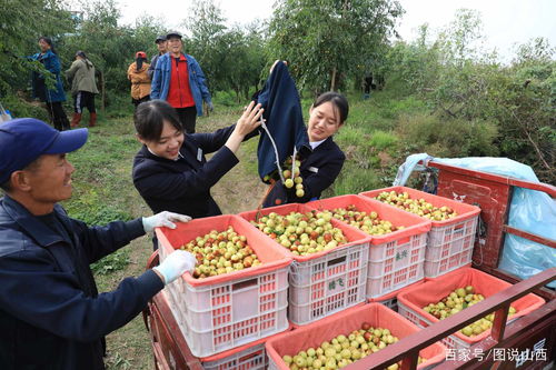 洪洞农商行支持救灾减灾 直播带货 首日销售农副产品10.6万元